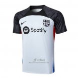 Camiseta de Entrenamiento Barcelona 2023-2024 Gris