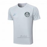 Camiseta de Entrenamiento Palmeiras 2023-2024 Gris