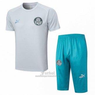 Chandal del Palmeiras Manga Corta 2023-2024 Gris - Pantalon Corto