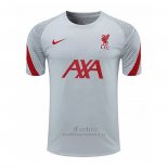 Camiseta de Entrenamiento Liverpool 2020-2021 Gris